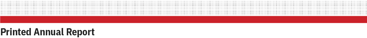 AMD Annual Report project image