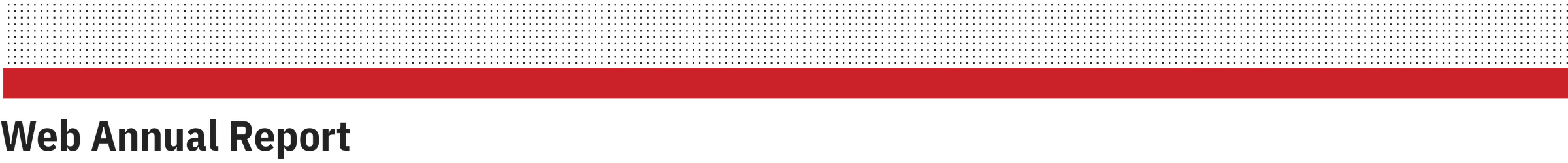 AMD Annual Report project image