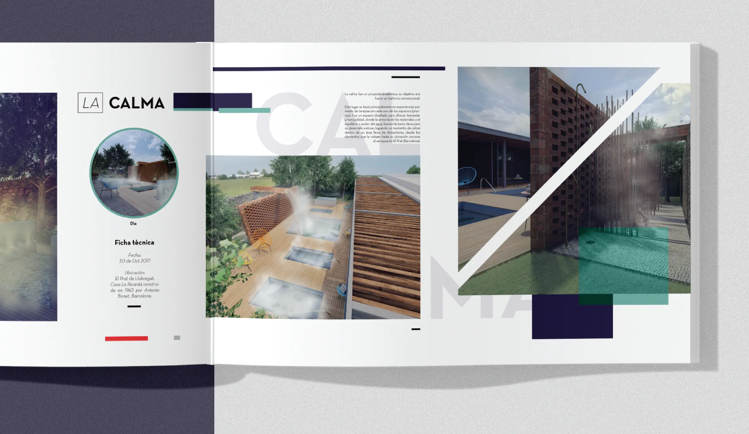 Mariana Lemus project image